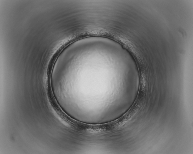 X0000110870630200907021437