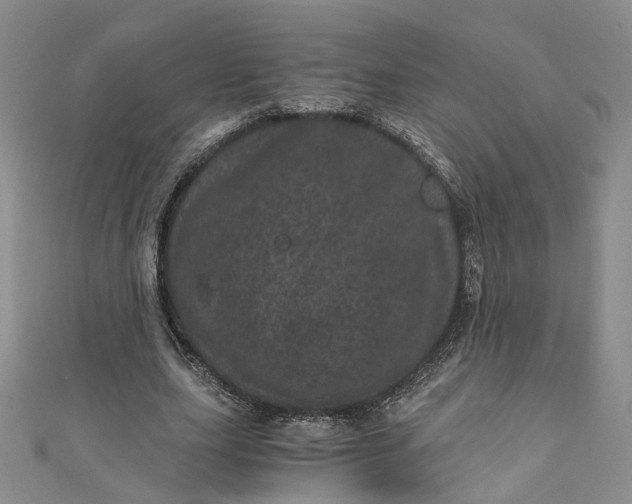 X0000110870631200907021437