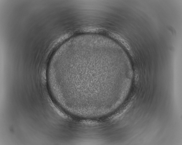 X0000110870633200907021437