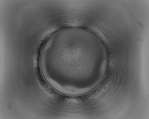 X0000110870635200907021437