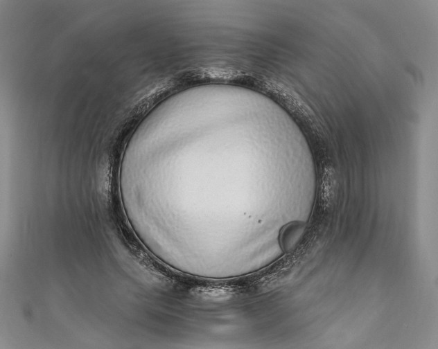 X0000110870639200907021437