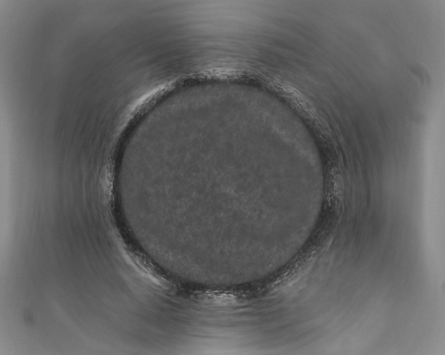 X0000110870640200907021437