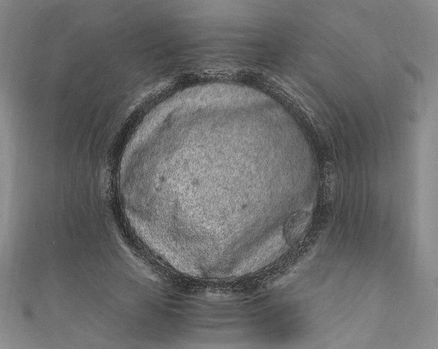 X0000110870641200907021437