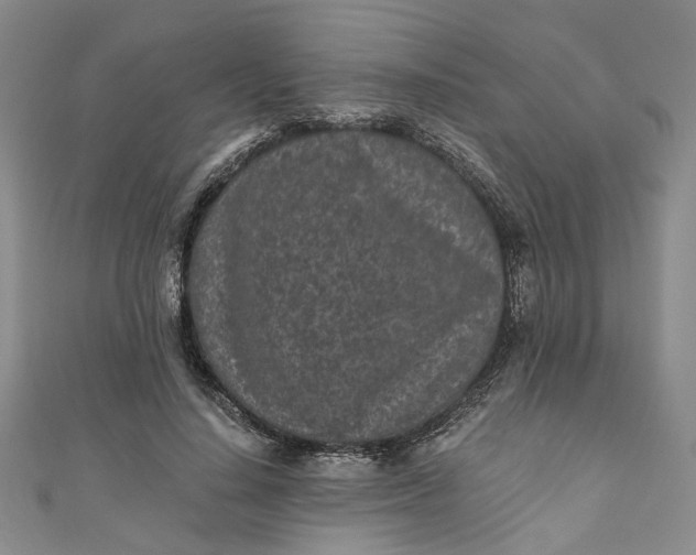 X0000110870644200907021437