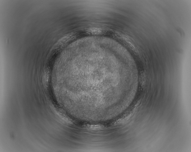 X0000110870645200907021437