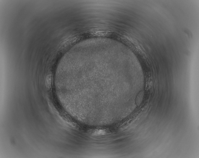 X0000110870647200907021437