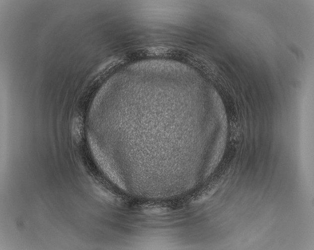 X0000110870648200907021437