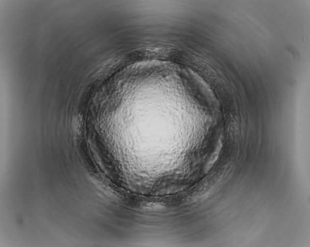 X0000110870649200907021437