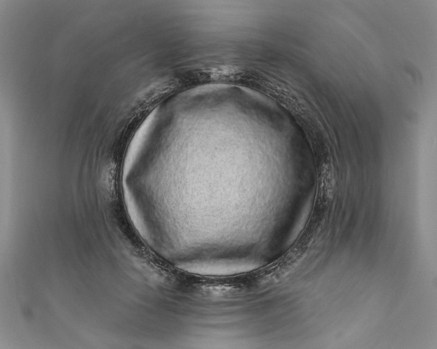 X0000110870650200907021437