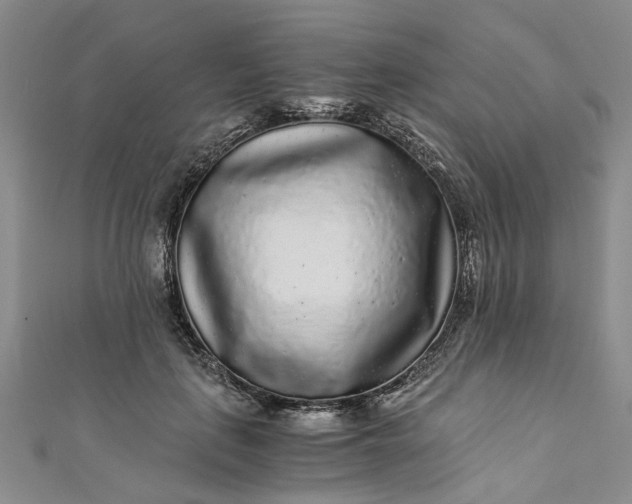 X0000110870651200907021437