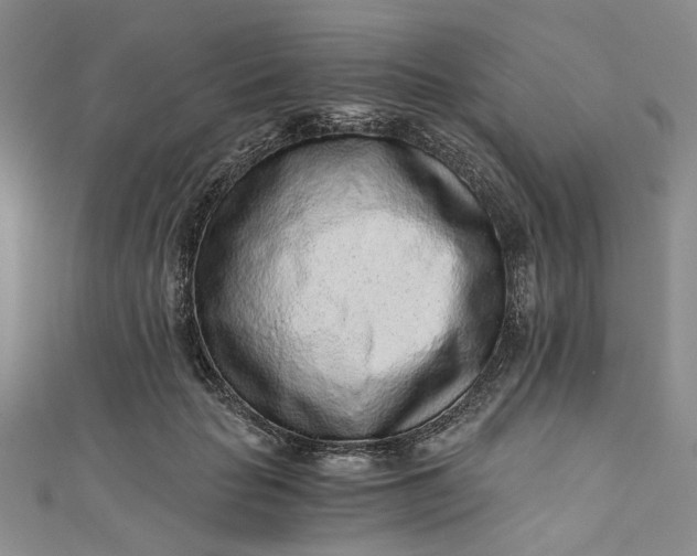 X0000110870653200907021437