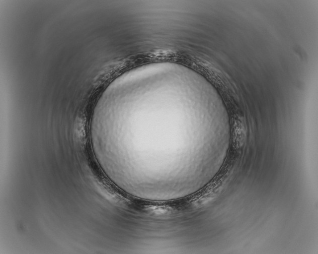 X0000110870654200907021437