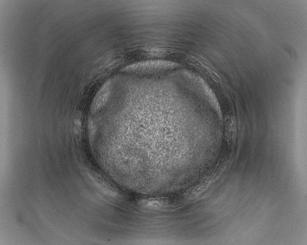 X0000110870655200907021437