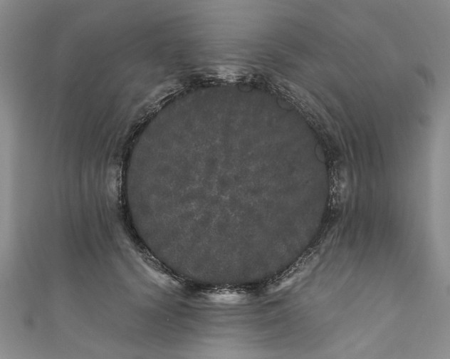 X0000110870656200907021437