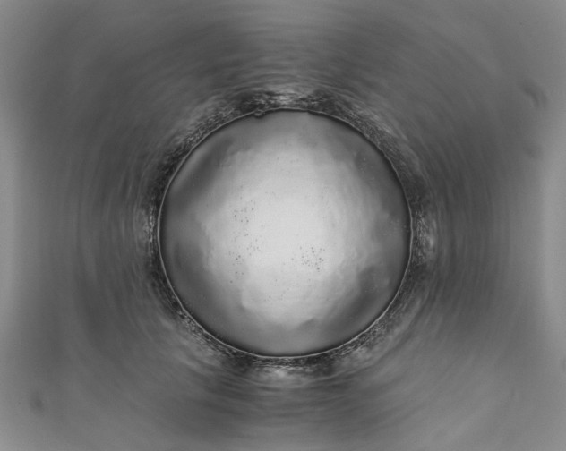 X0000110870657200907021437