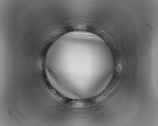 X0000110870658200907021437