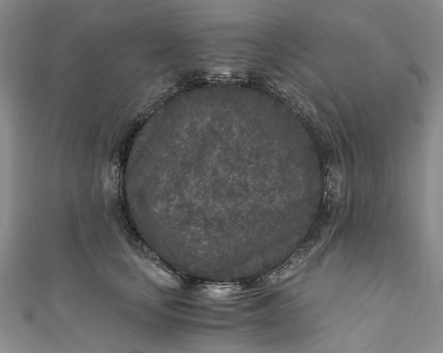 X0000110870659200907021437