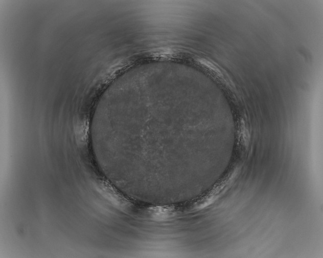 X0000110870660200907021437