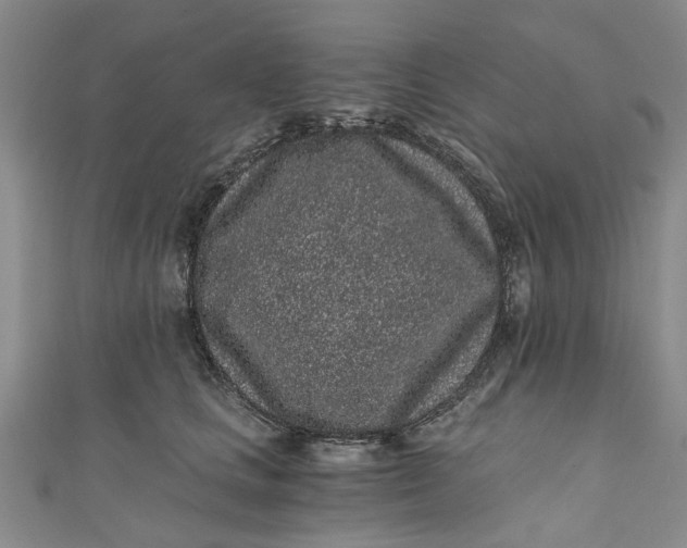 X0000110870661200907021437