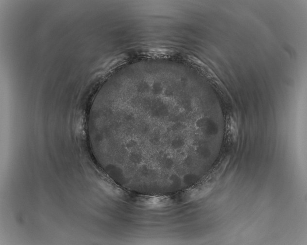 X0000110870663200907021437