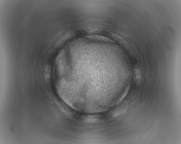 X0000110870664200907021438