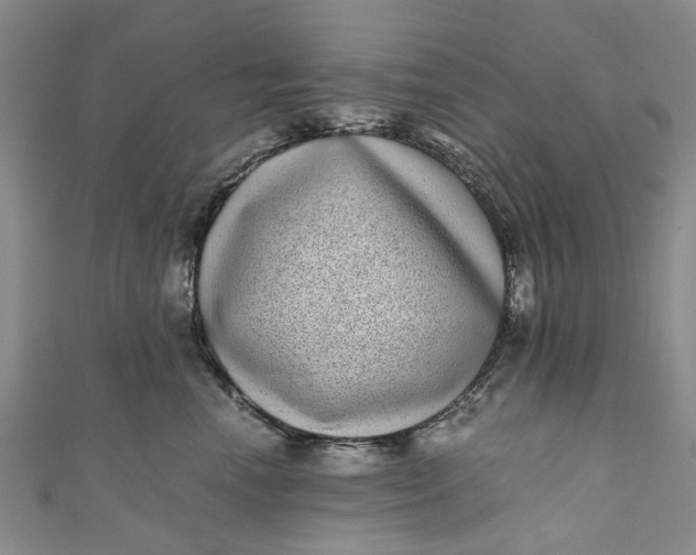 X0000110870666200907021438