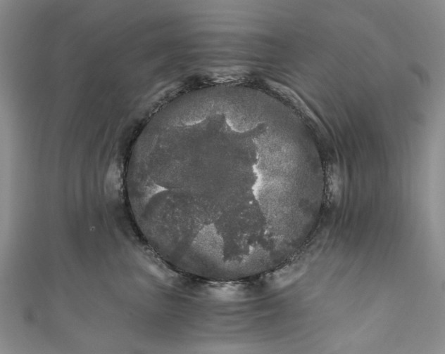 X0000110870667200907021438