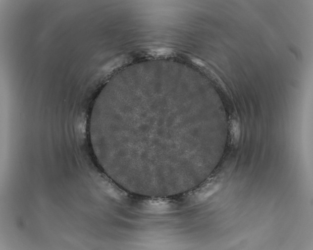 X0000110870668200907021438