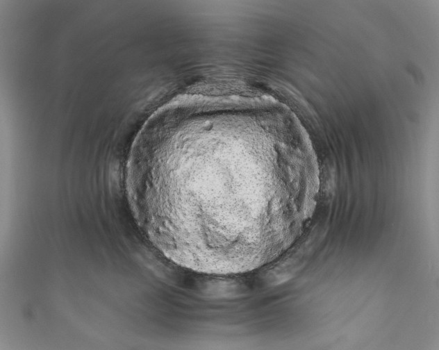 X0000110870669200907021438