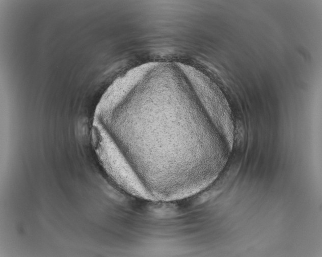 X0000110870670200907021438