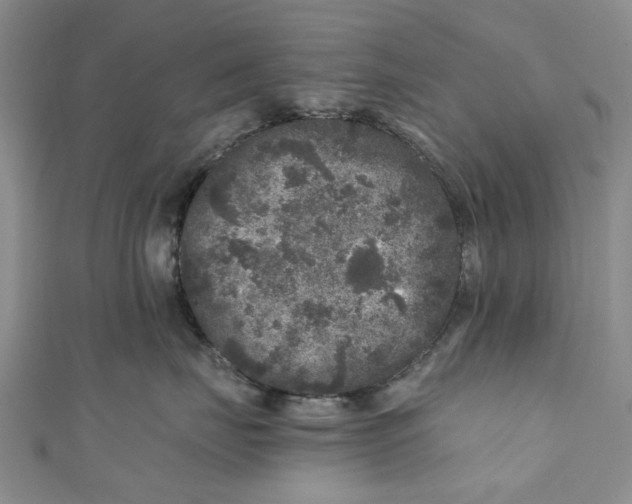 X0000110870671200907021438