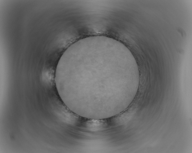 X0000110870672200907021438