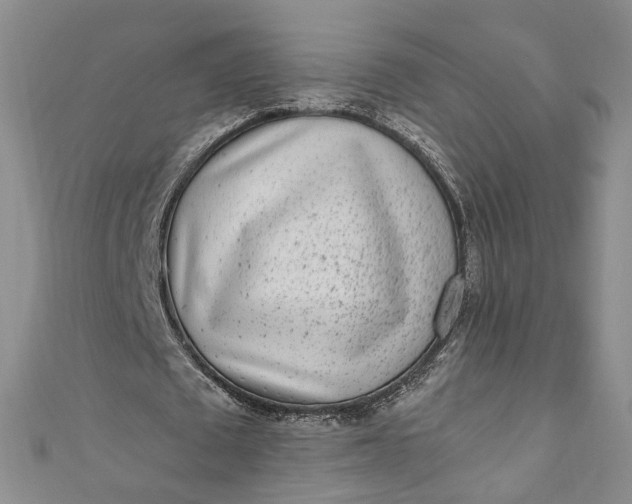 X0000110870673200907021437