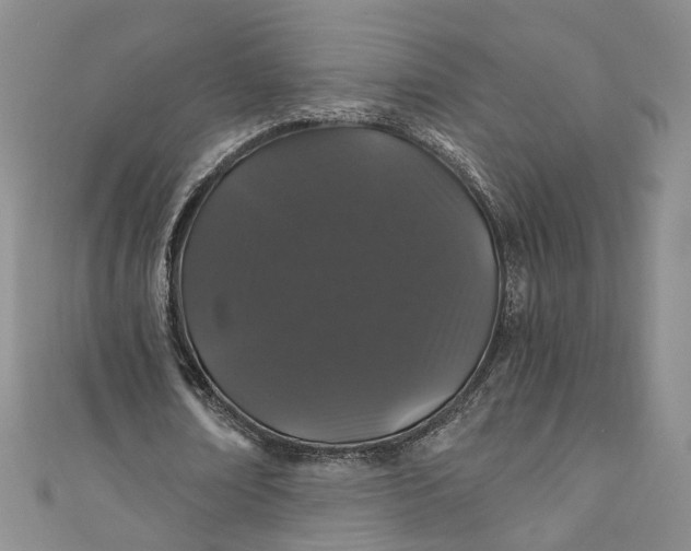 X0000110870674200907021437