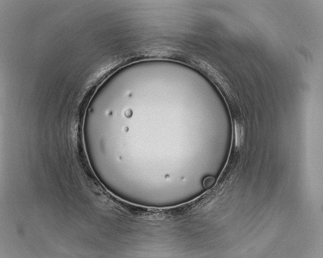 X0000110870675200907021437