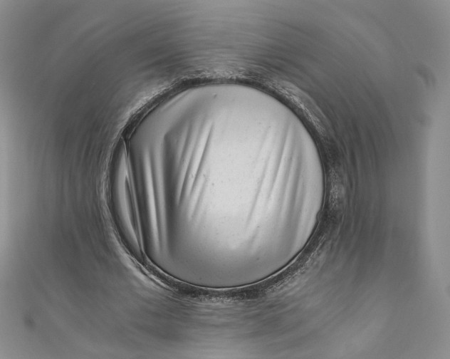 X0000110870677200907021437