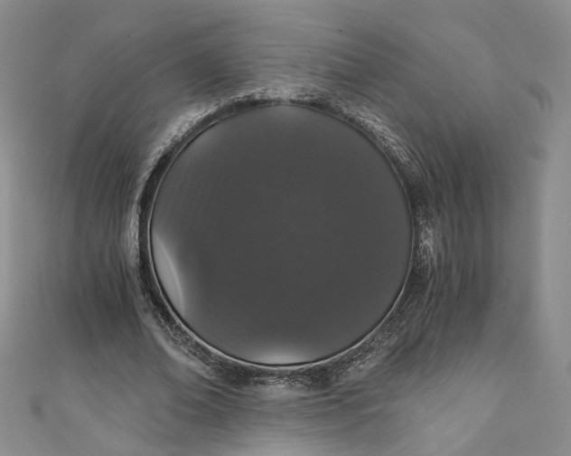 X0000110870678200907021437