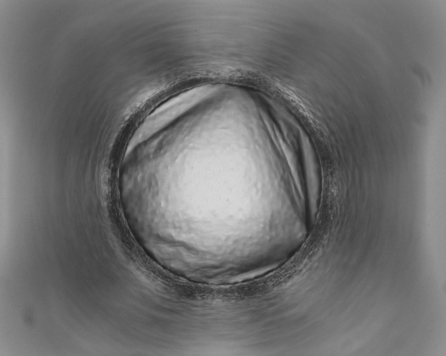 X0000110870679200907021437