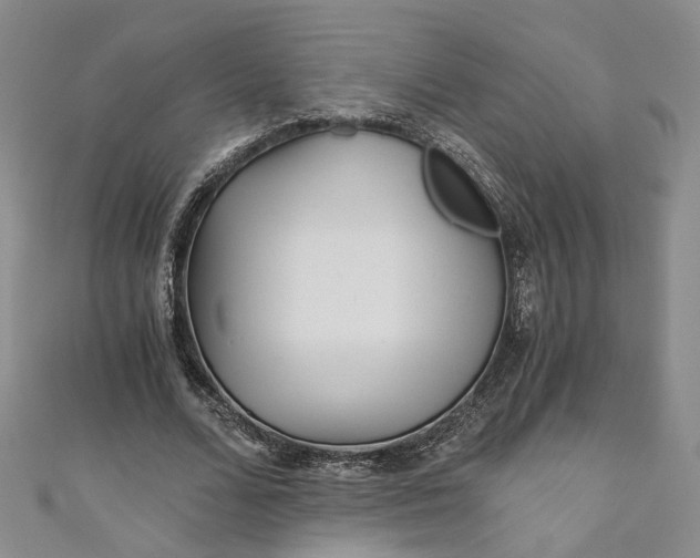 X0000110870680200907021437