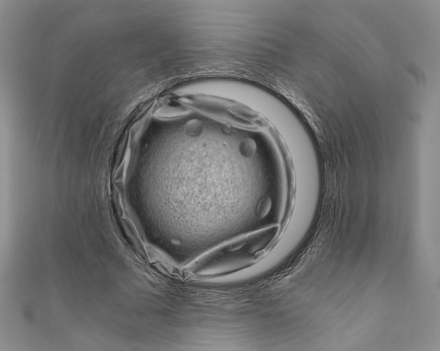 X0000110870681200907021437