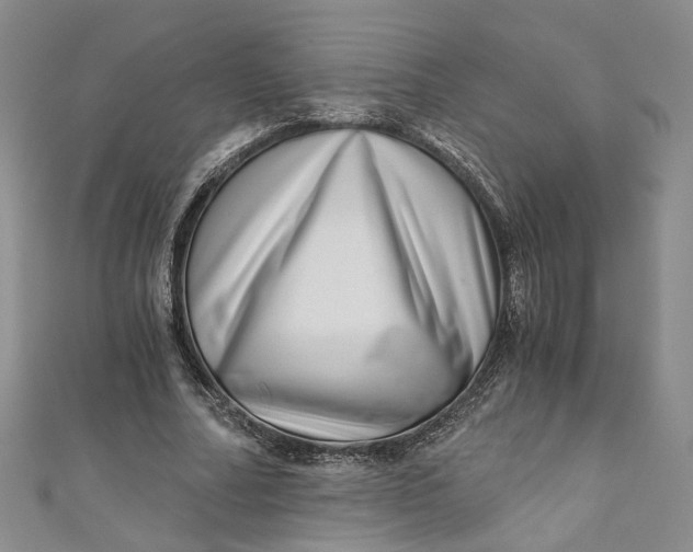 X0000110870682200907021437