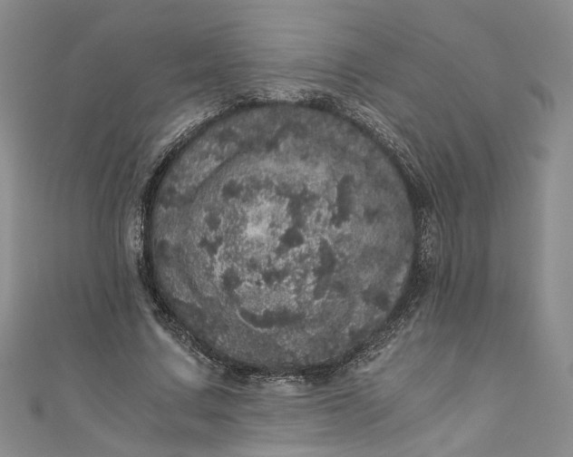 X0000110870683200907021437