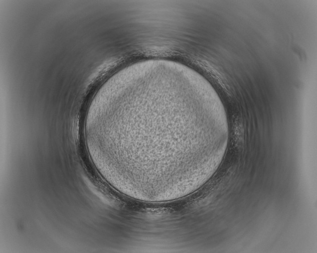 X0000110870686200907021437