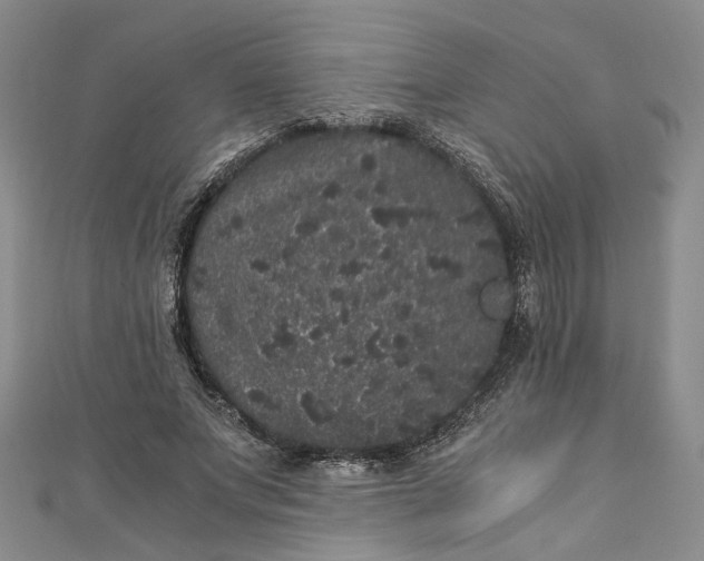 X0000110870687200907021437