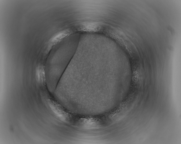 X0000110870688200907021437