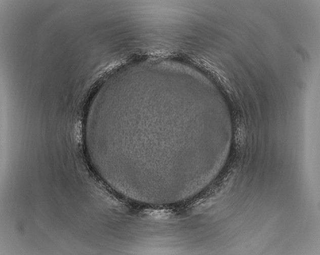 X0000110870689200907021437