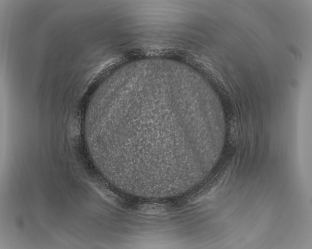 X0000110870691200907021437