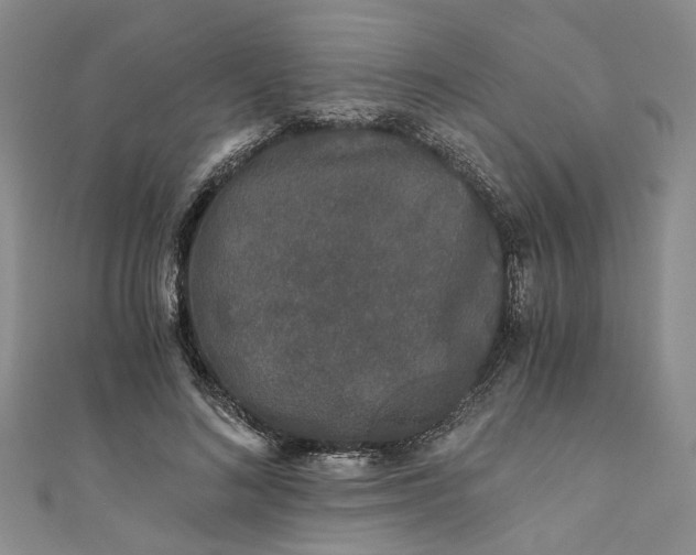 X0000110870692200907021437