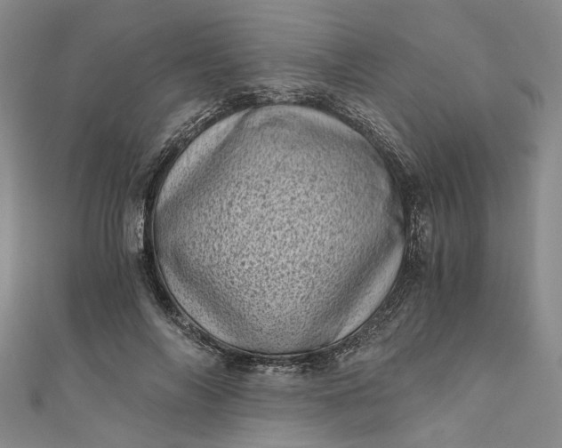 X0000110870694200907021437