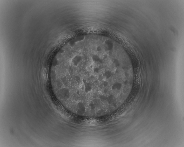 X0000110870695200907021437